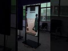 65 인치 LCD 패널 듀얼 사이드 UHD 윈도우 LCD 디스플레이